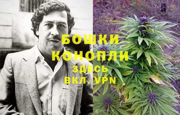амф Бородино