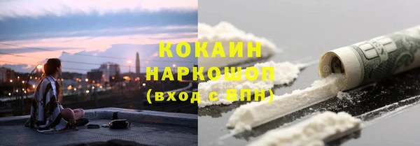 амф Бородино