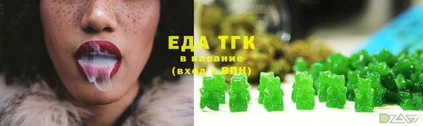 амф Бородино