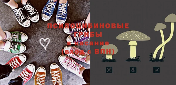 стаф Бронницы