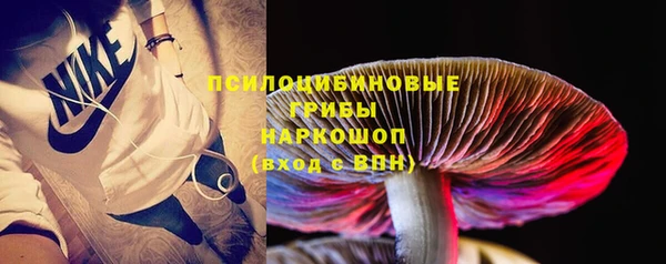 амф Бородино